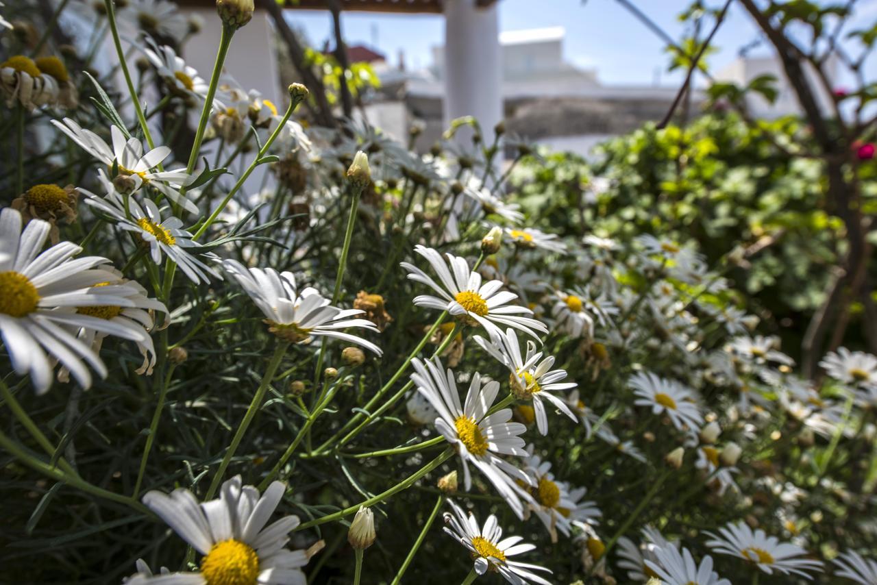 Fava Eco Suites Foinikiá Oda fotoğraf